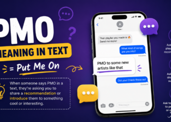 pmo meaning in text