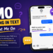 pmo meaning in text